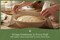 Flour Sack Towels for Embroidery & DIY Crafts, 27"x27" Cotton Tea Towel Blanks, Lint-Free, Pack of 5 or 10 — Multiple Colors